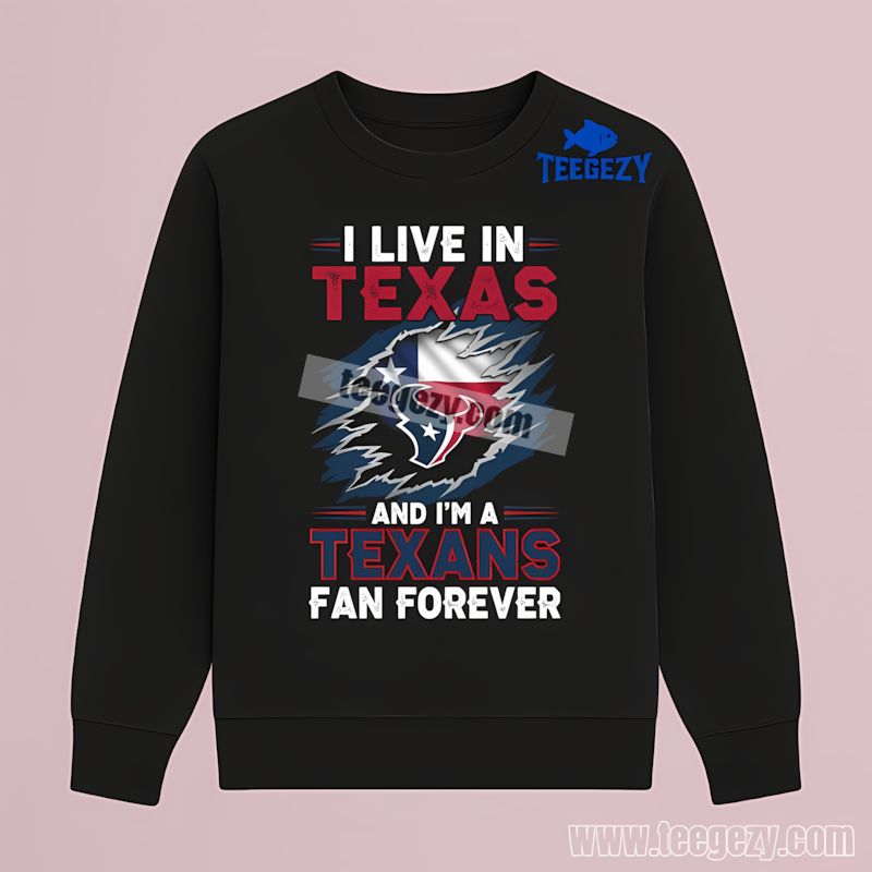 Houston Texans Texas Fan Forever Retro Long Sleeve Houston Texans Texas Fan Forever Retro Long Sleeve